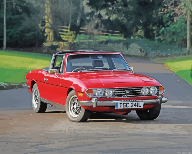 Cool Triumph Stag Painting By Numberss.png