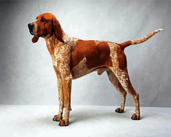 Coonhound Dog Painting By Numberss.png