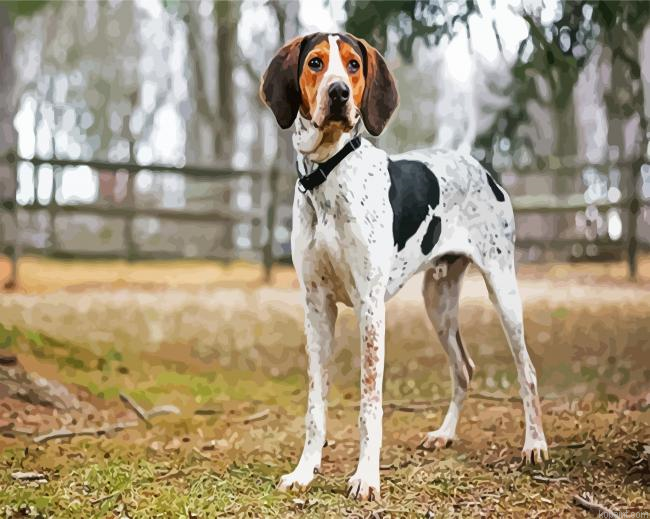 Coonhound Painting By Numberss.png