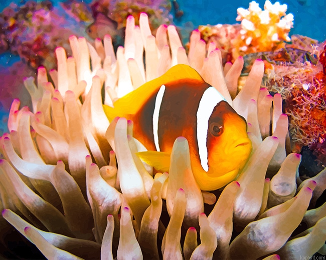 Coral Reef Fish New Painting By Numberss.png