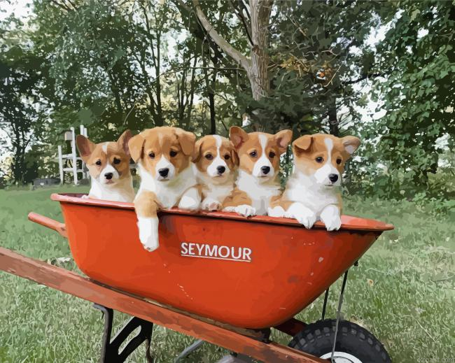 Corgis Little Puppies Painting By Numberss.png