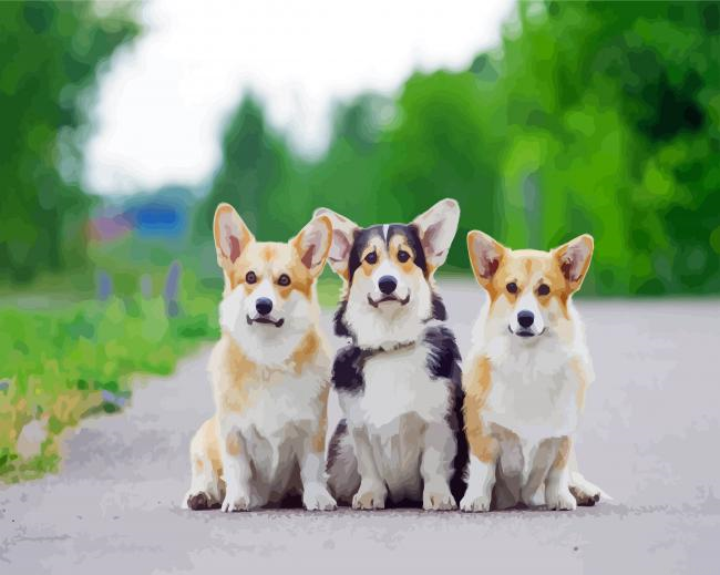 Corgis Puppies Animal Painting By Numberss.png