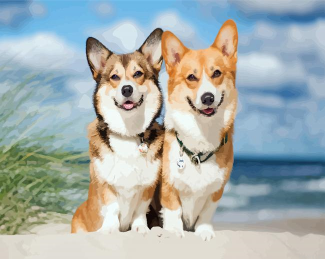 Corgis Puppies Animals Painting By Numberss.png