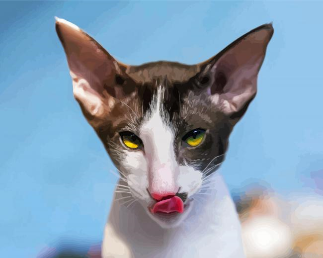 Cornish Rex Cat Head Painting By Numberss.png