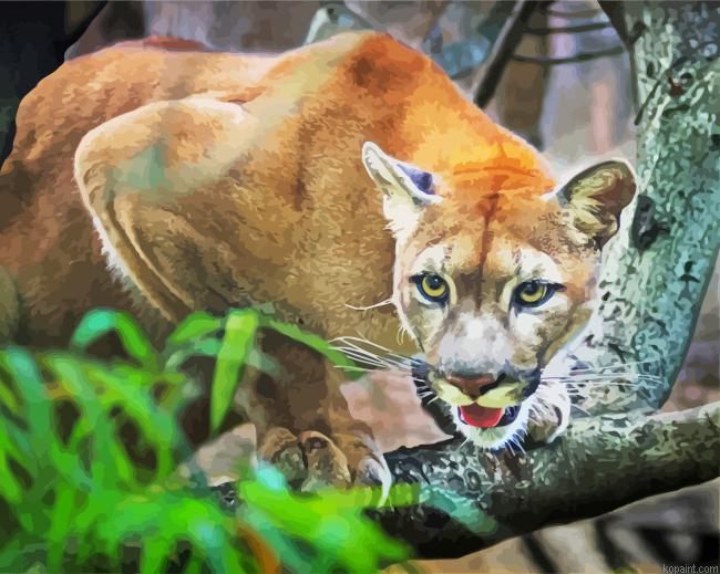 Cougar Big Cat Painting By Numberss.png