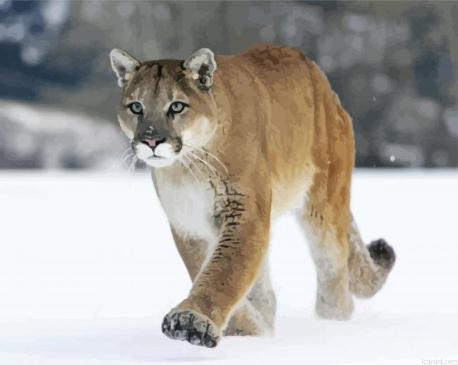 Cougar In The Snow Paint By Numbers