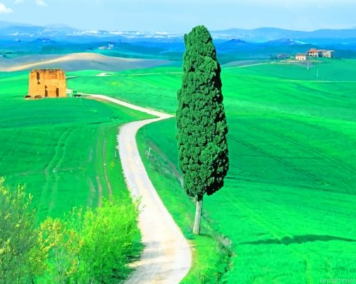 Country Road Tuscany Italy Painting By Numberss.png