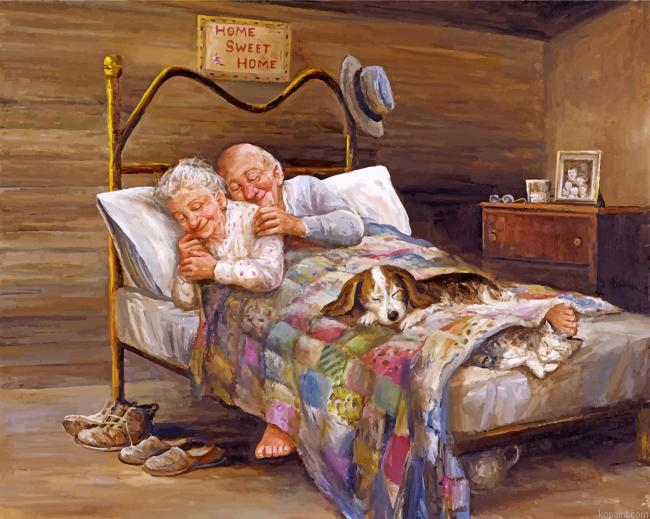 Couple Sleep Hug Painting By Numberss.png