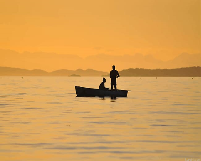Couples In The Boat Silhouette New Painting By Numberss.png