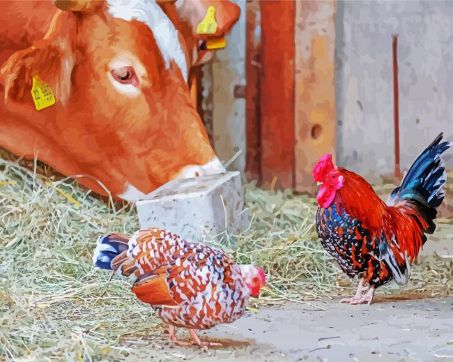 Cow And Rooster Farm Animals Paint By Numbers