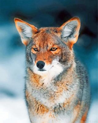 Coyote Painting By Numberss.png