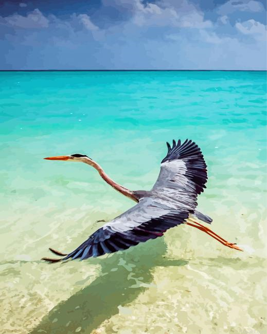 Crane Bird In Water Painting By Numberss.png