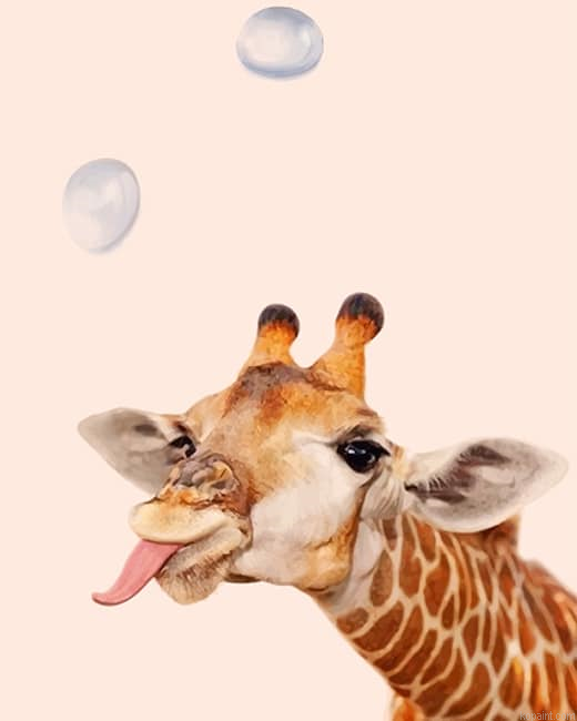 Crazy Giraffe New Painting By Numberss.png