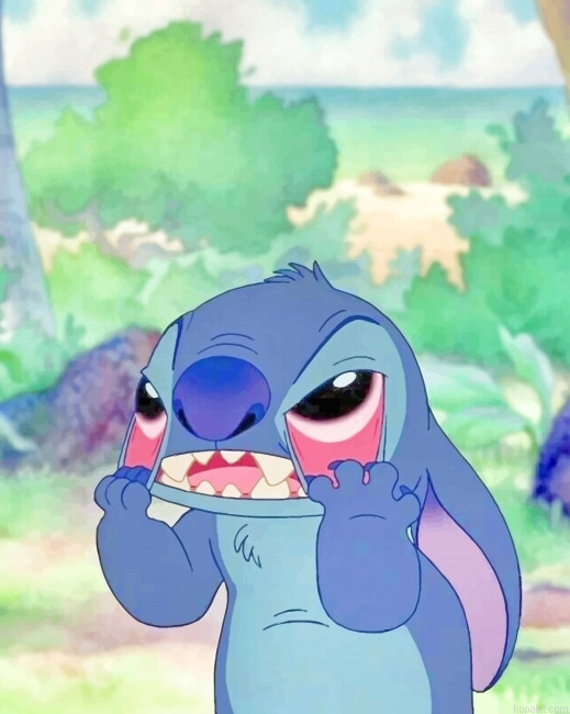 Crazy Stitch New Painting By Numberss.png