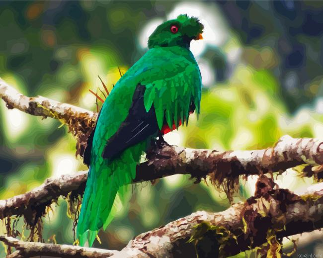 Crested Quetzal Bird On Branch Painting By Numberss.png