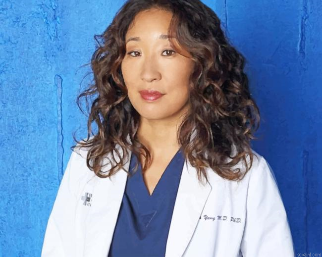 Cristina Yang Greys Anatomy Painting By Numberss.png