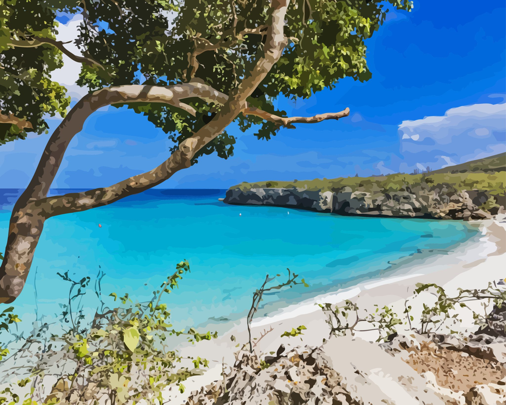 Curacao Island Beach Paint By Numbers