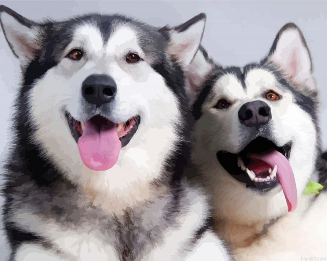Cute Alaskan Huskies Painting By Numberss.png