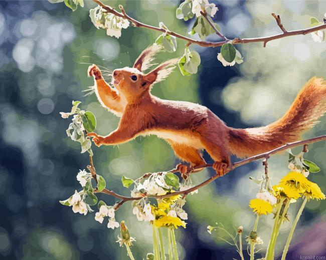 Cute Animal Squirrel Painting By Numberss.png