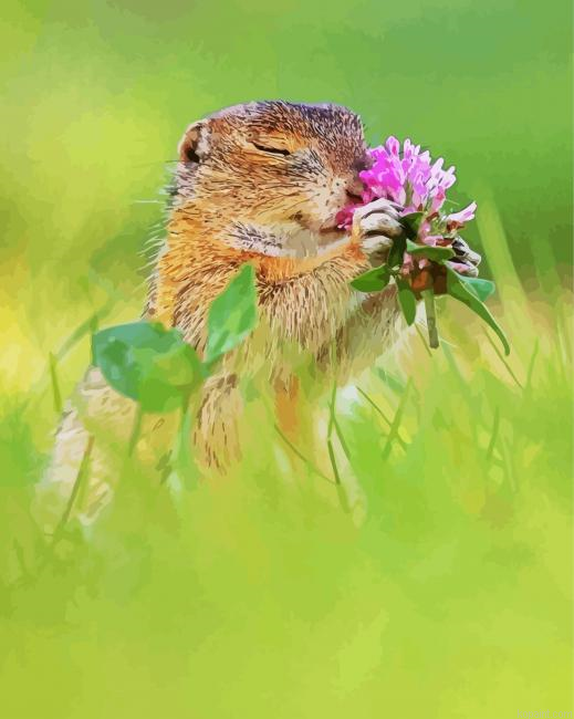 Cute Animal With Flowers Painting By Numberss.png