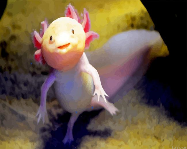 Cute Axolotl Amphibian Animal Painting By Numberss.png