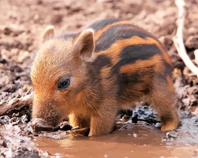Cute Baby Boar Painting By Numberss.png