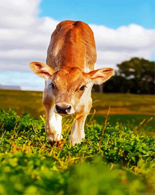 Cute Baby Calf Painting By Numberss.png