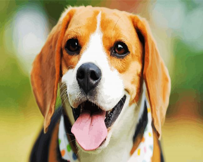 Cute Beagle Dog Head Paint By Numbers.png