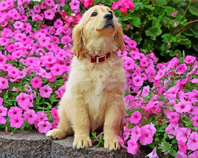 Cute Beige Dog Paint By Numbers