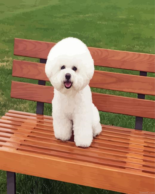 Cute Bichon Frise Painting By Numberss.png