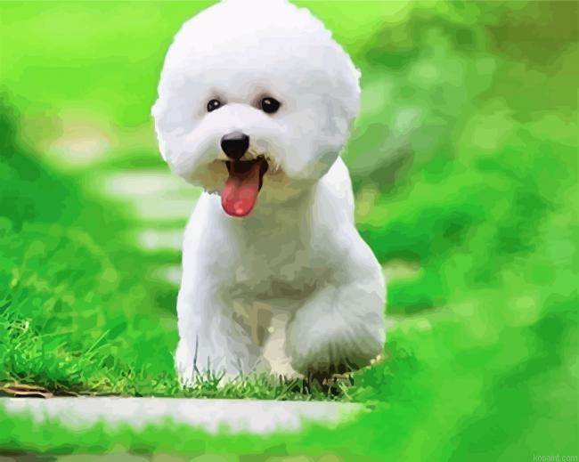 Cute Bichon Puppy Painting By Numberss.png