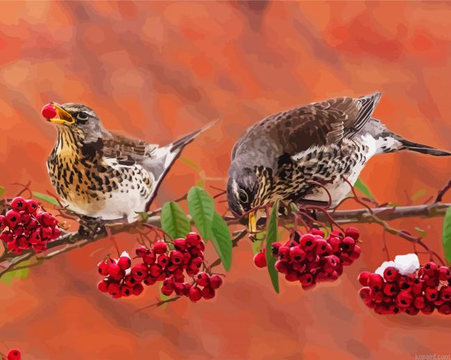 Cute Birds And Red Berries Paint By Numbers