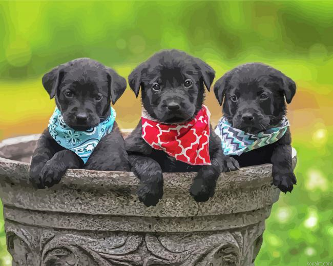 Cute Black Labrador Retrievers Painting By Numberss.png