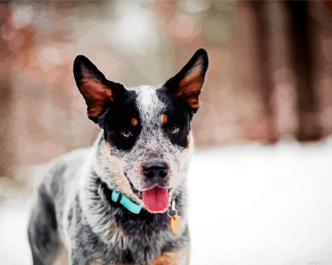 Cute Blue Heeler Dog Painting By Numberss.png