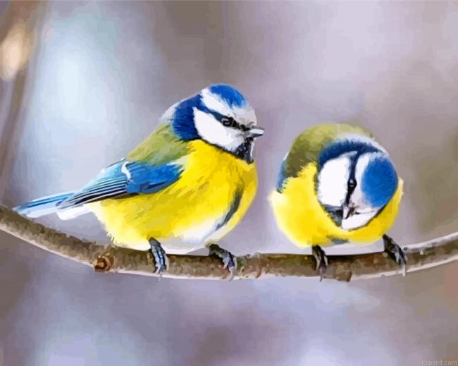 Cute Blue tit Birds On A Branch Paint By Numbers