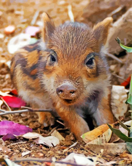 Cute Boar Painting By Numberss.png
