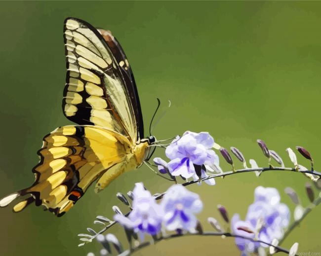 Cute Butterflies In Flowers Painting By Numberss.png
