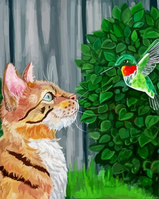 Cute Cat And Hummingbird Painting By Numberss.png