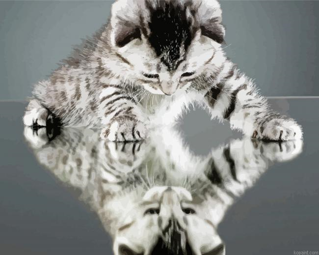 Cute Cat Reflection Painting By Numberss.png