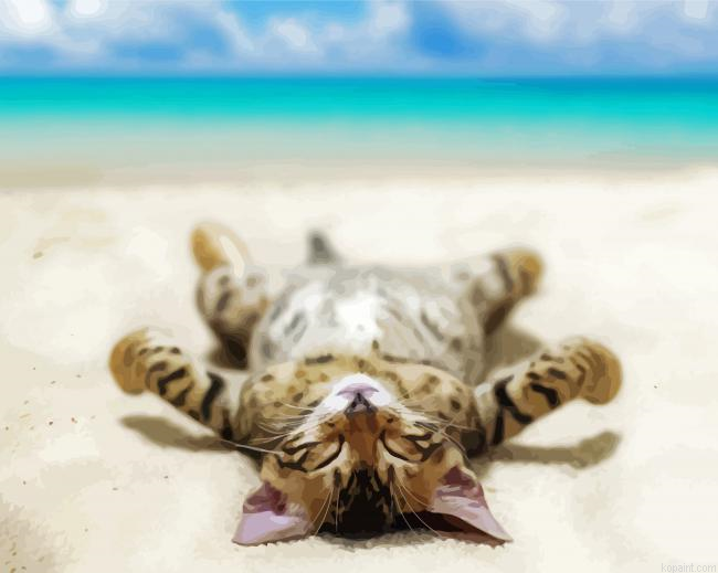 Cute Cats On Beach Painting By Numberss.png