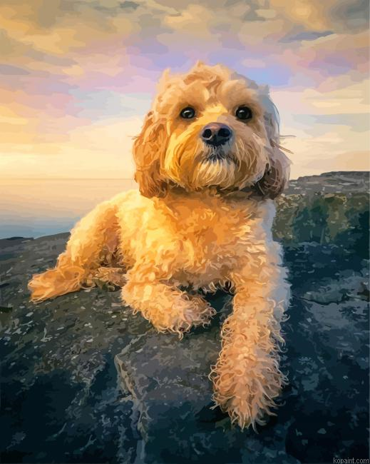 Cute Cockapoo Painting By Numberss.png