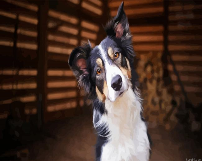 Cute Collie Puppy Painting By Numberss.png