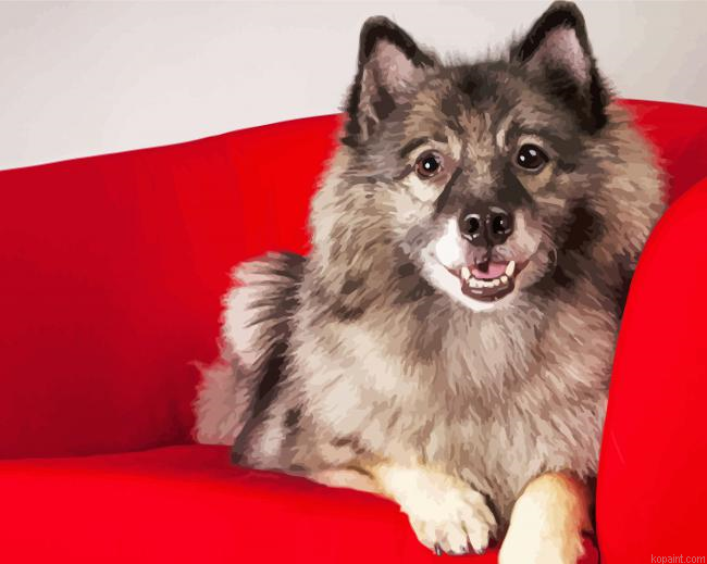 Cute Dog On A Red Couch Paint By Numbers