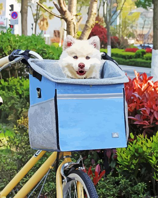 Cute Dog On Bike Painting By Numberss.png
