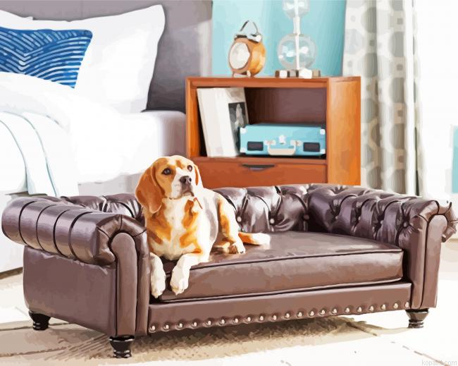 Cute Dog On Couch Paint By Numbers