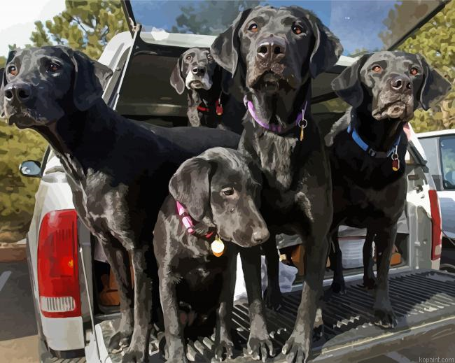 Cute Dogs In Truck Painting By Numberss.png