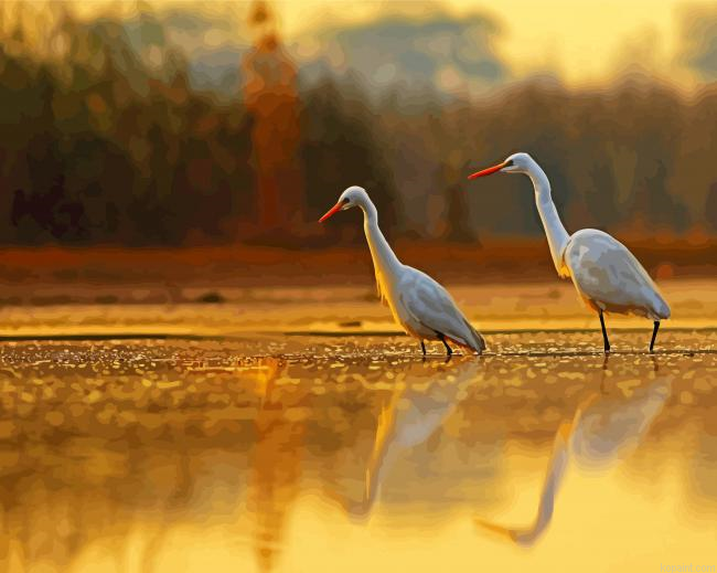Cute Egrets Painting By Numberss.png