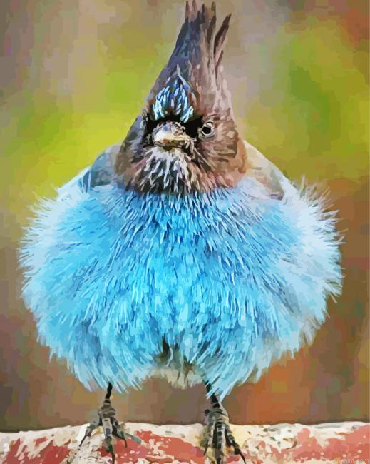 Cute Fat Bird Painting By Numberss.png
