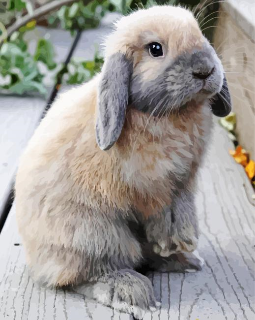 Cute Floppy Bunny Painting By Numberss.png