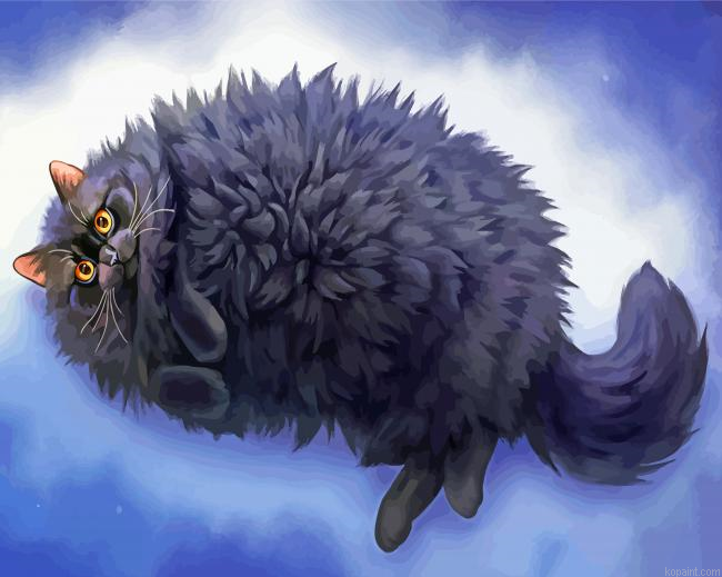 Cute Fluffy Black Cat Art Painting By Numberss.png